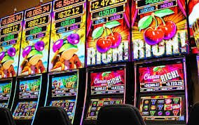 wildbet