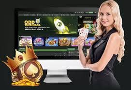 wildbet