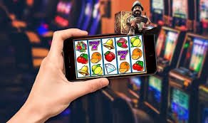wildbet