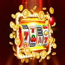 wildbet