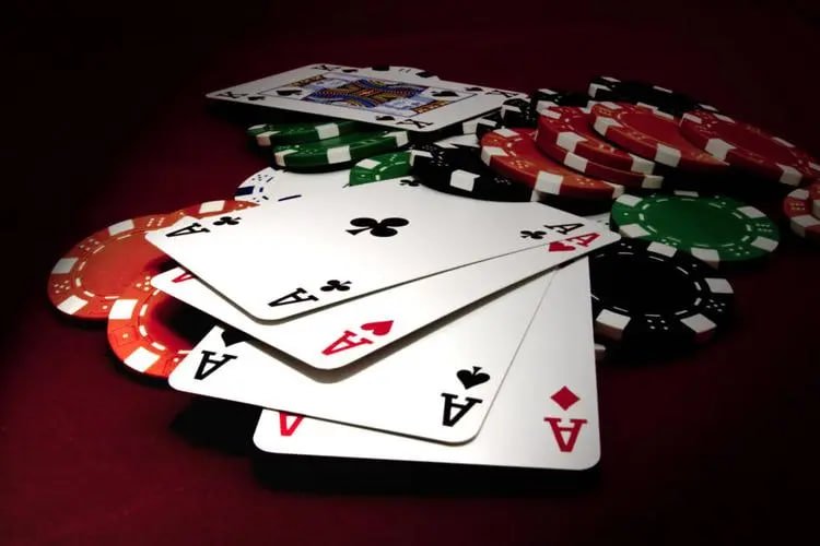 wildbet